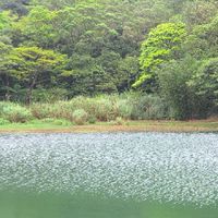 Taiwan台灣Travel旅遊