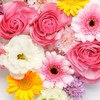 統合失調症でも働いている人の居場所