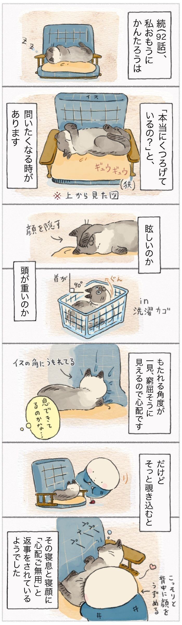 どうやら猫は寝づらいポーズが好き すごい姿勢だけど