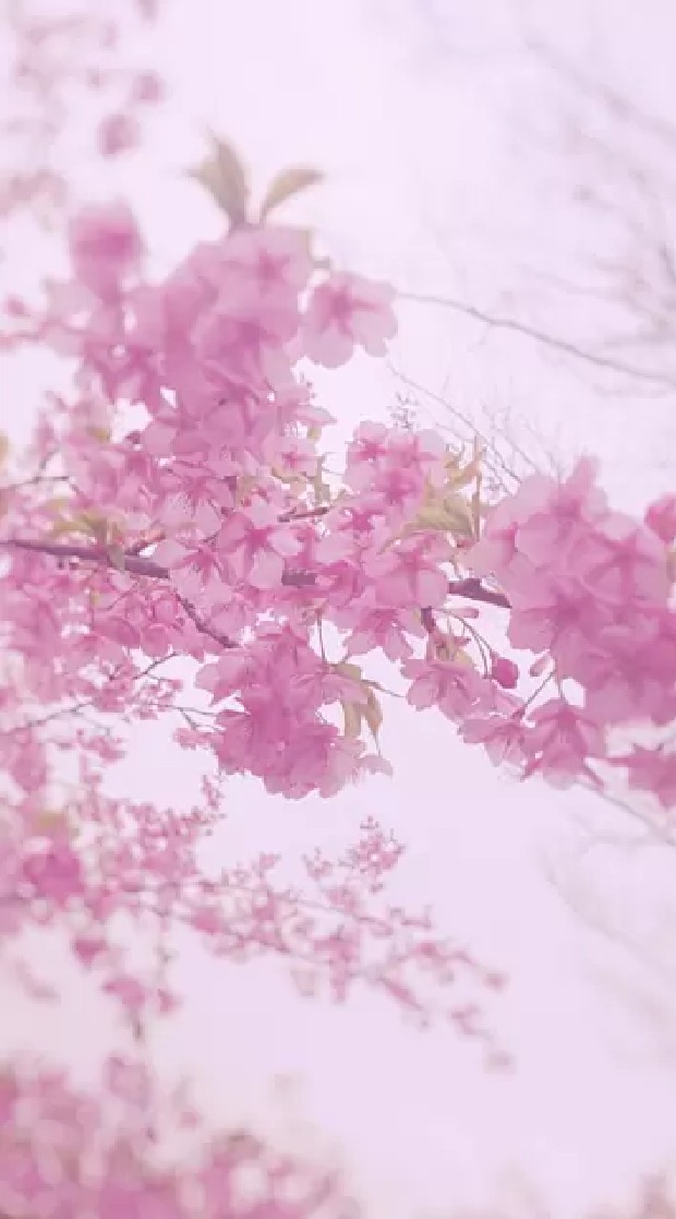 ゆったり平和にのオープンチャット
