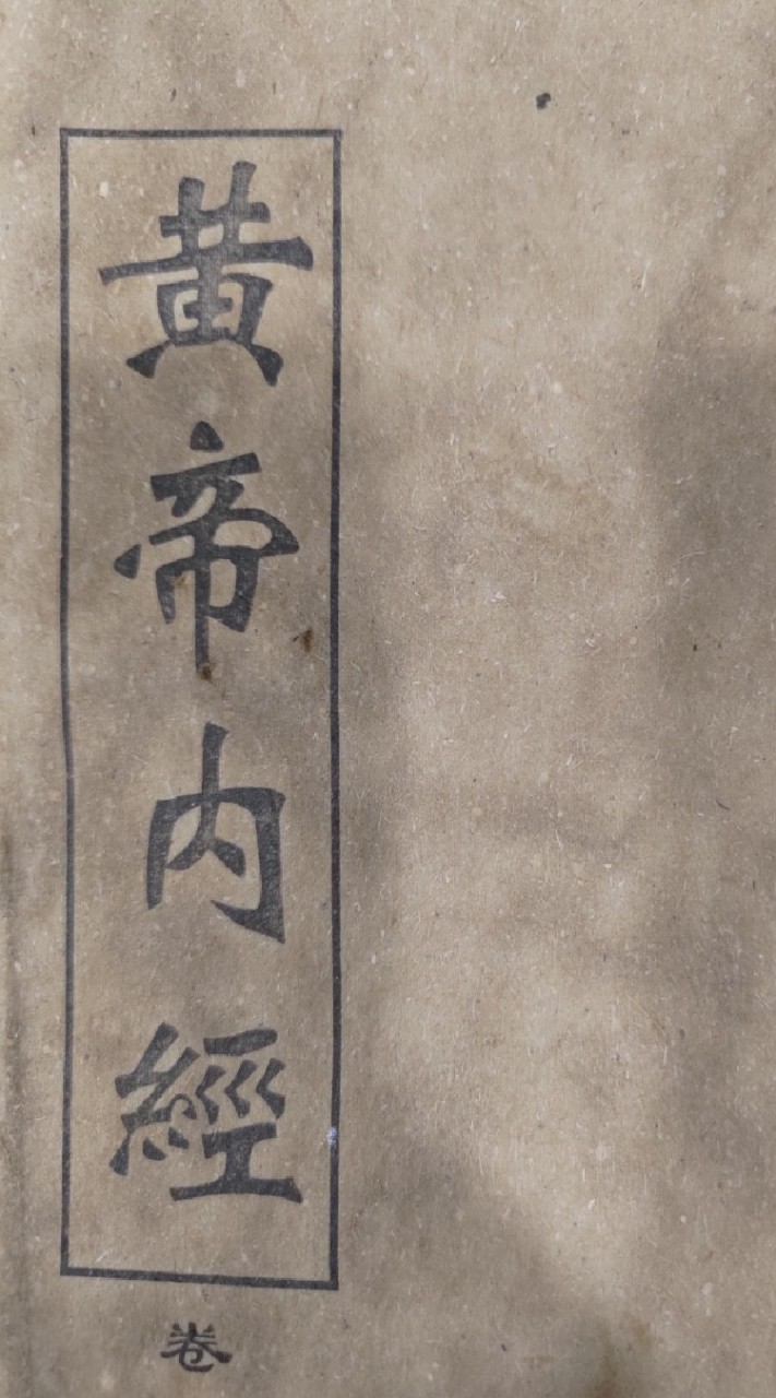 中醫療法 中藥 中草藥 藥食同源