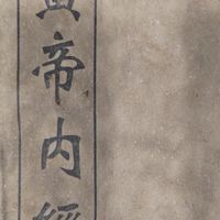 中醫療法 中藥 中草藥 藥食同源