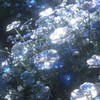 雑談・歌枠・恋愛【学生限定】