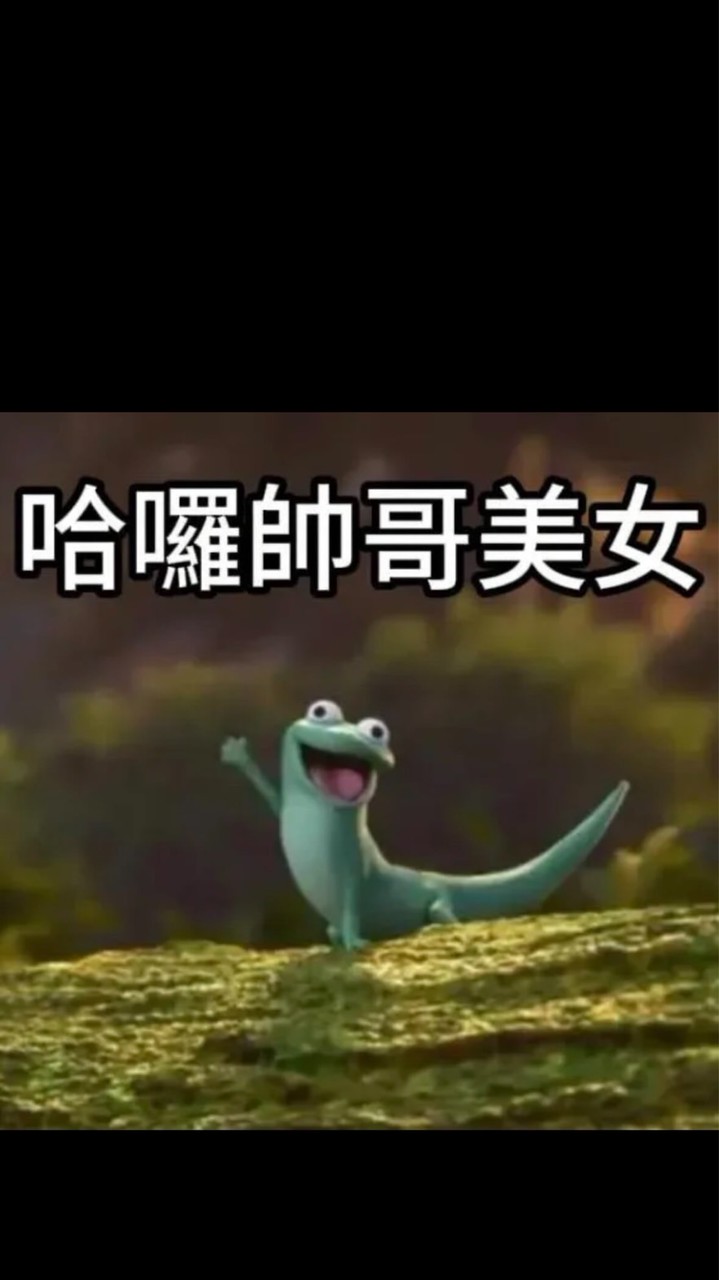 伊比伊比鴨鴨