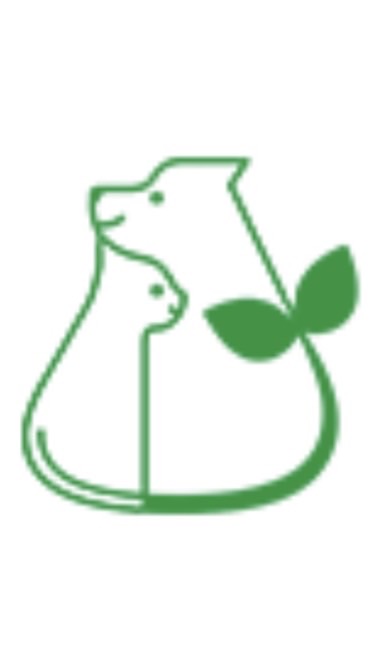 軽井沢往診会（4月14日）