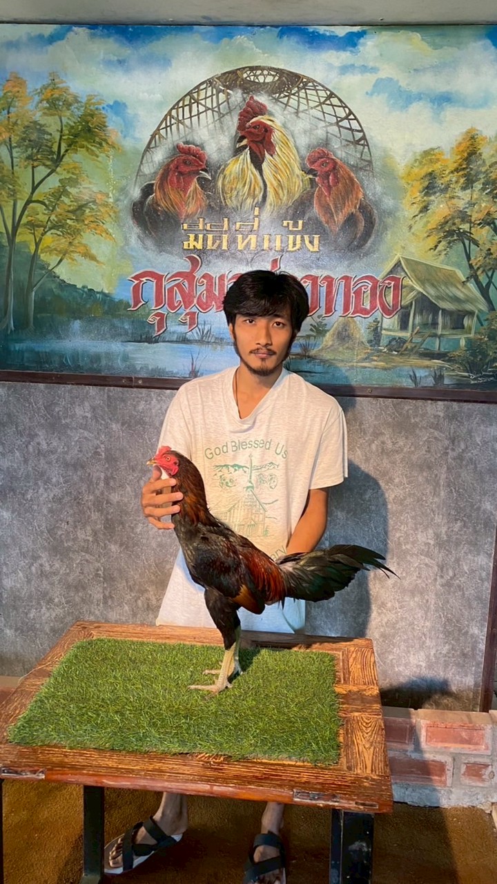 ซุ้ม KJ. จิรายุ ฟาร์ม