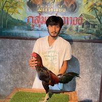 ซุ้ม KJ. จิรายุ ฟาร์ม
