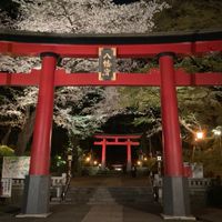 しっぽり西永福