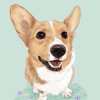 คลับคนรักหมาแมว 🐶