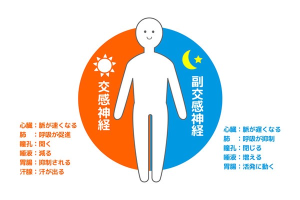 コロナ禍によるストレスで自律神経失調症に 原因や治療法は