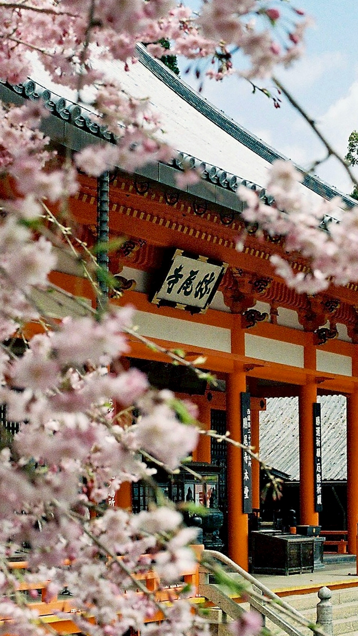 跟著金姐趣旅行、買好物