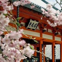 跟著金姐趣旅行、買好物