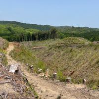 Trail motorcycle 茨城支部