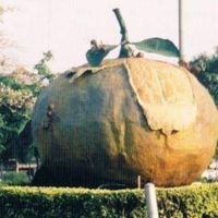 ทุนพัฒนาชีวิต เขตจอมทอง