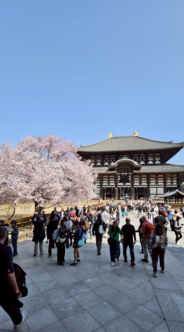 🌟26403京阪神環球