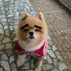 ห๊ะ