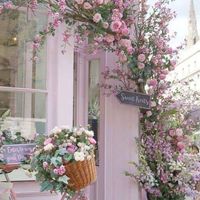 🌹60代女性限定☀️日々燦々