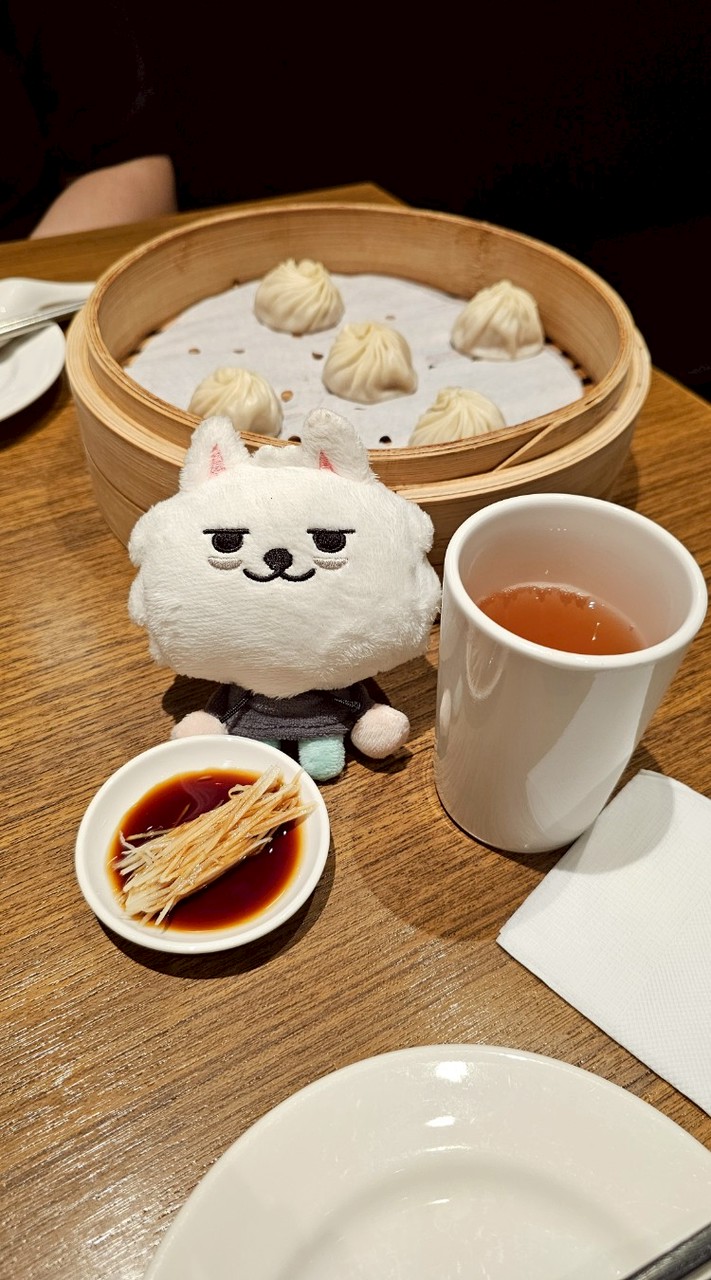Cindy韓國代購♥️🐰♥️