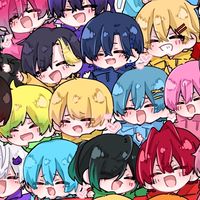 STPR 也