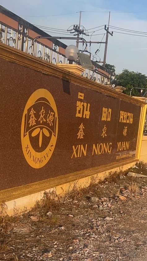 แผงทุเรียนซินตงหยวน