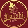 ข้าวมันไก่มาเฟีย