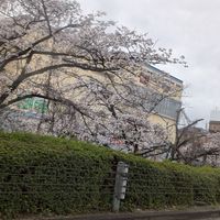 ✳️関西✳️　シングルライフ満喫中