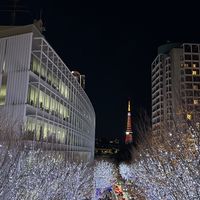 日本代購 Montbell 代購 Niki.select