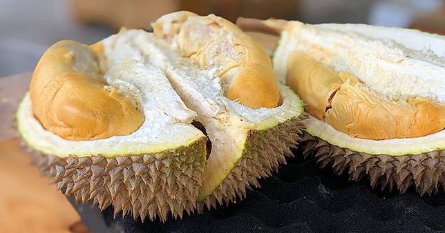 54 Hantu Durian Asli HD