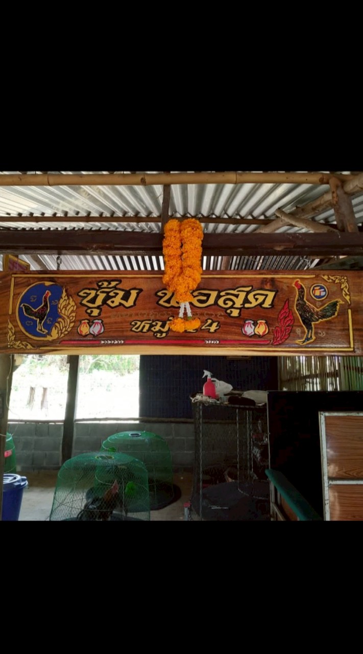 ซุ้มพ่อสุด หมู่14