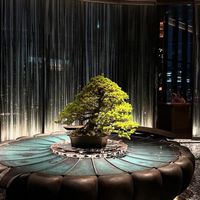 札幌cafe terraceカフェテラス〜札幌や近郊の地域情報コミュニティ〜
