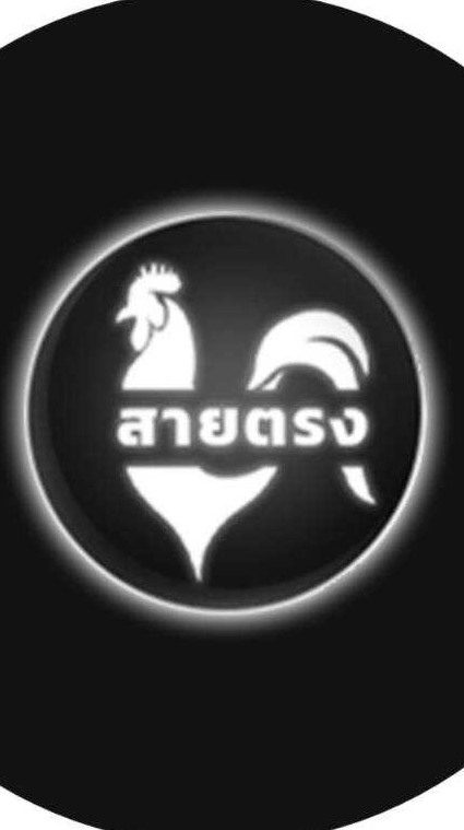 สายตรงไก่ชน 3