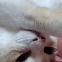 もうすぐ還暦、定年退職間近これからど〜する?