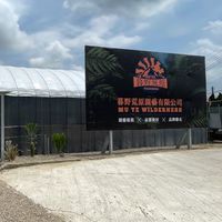 暮野荒原（品牌進貨與上架資訊分享）