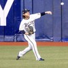 適応障害と知的障害のお部屋
