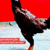 ซุ้ม เฮงเฮงเฮงพยัคฆ์ไพร