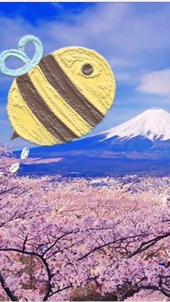 跟著小蜜蜂🐝全球 go~go~購