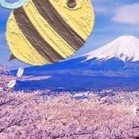 跟著小蜜蜂🐝全球 go~go~購