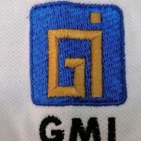 GMI