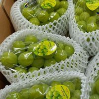 後龍解渴鮮茶水果社群