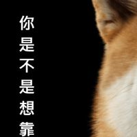 靠北室內設計