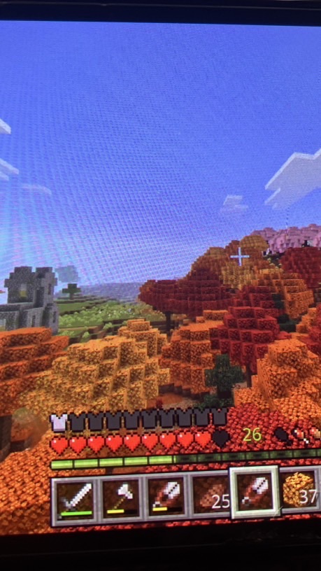 マイクラ民