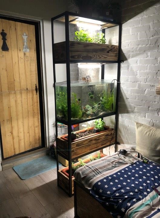 目前在物流業擔任行政主任的網友朴織稻，熱衷於DIY改