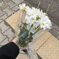 🍒ˑ̶͙ ⋆ตัวแทนขายแอค 𝐛𝐲 𝐒𝐮𝐧𝐝𝐚𝐲𝐲 🩹ˑ̶͙ ⋆