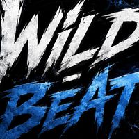 ss3 ( WILD -BEAT Records)
