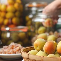 🥭小滿闆娘Market 🥭台南水果梅子蜂蜜/宅配/團購