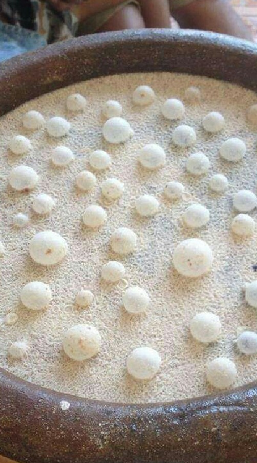 🌳เกษตรอินทรีย์@จุลินทรีย์ ชีวภัณฑ์👹