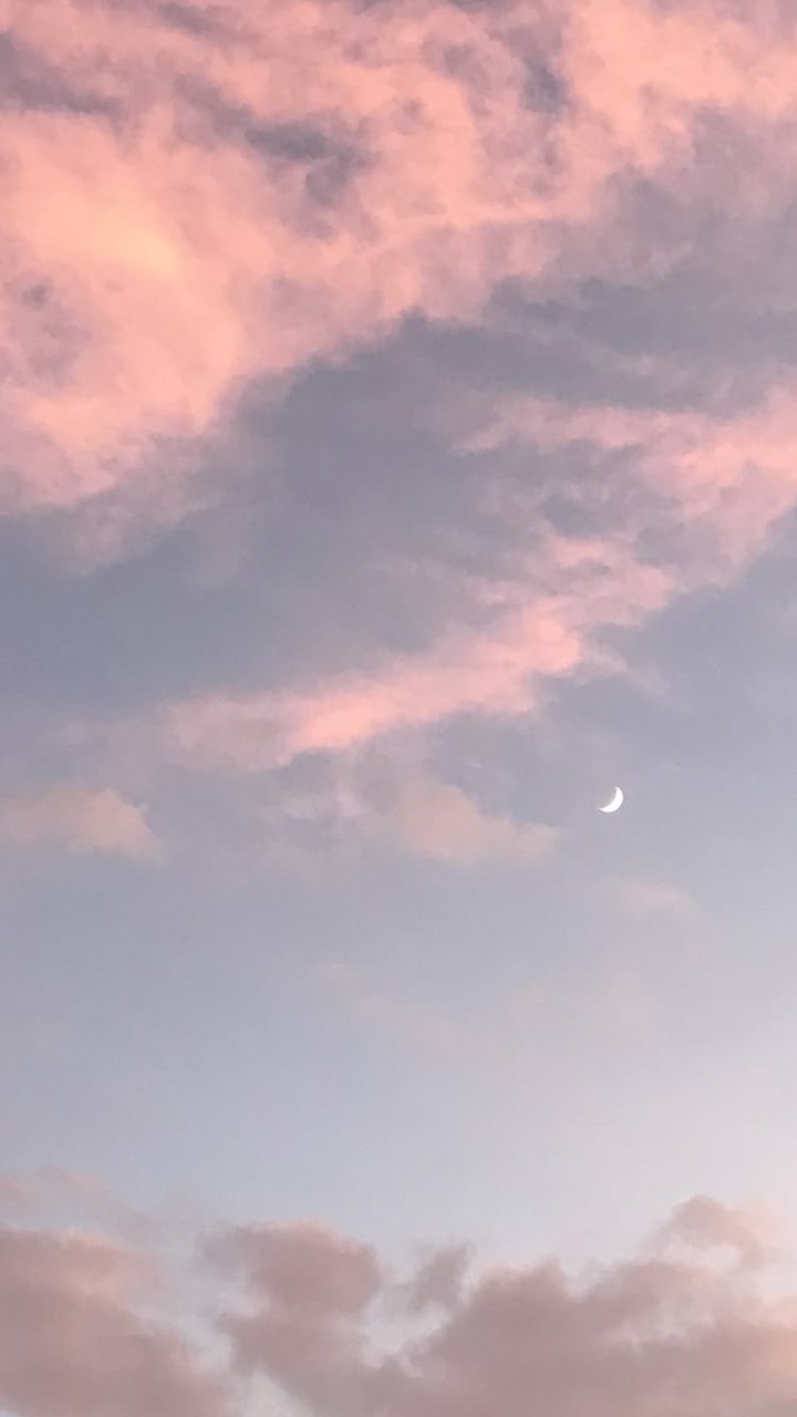 歐蕾貝卡姐妹會