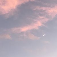 歐蕾貝卡姐妹會