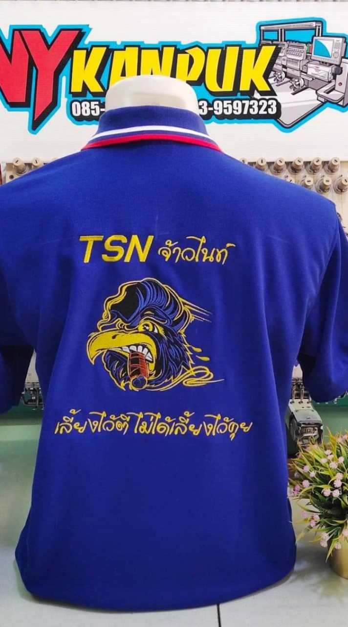 ไก่ชนออนไลน์ TSN จ้าวไนท์
