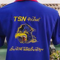ไก่ชนออนไลน์ TSN จ้าวไนท์